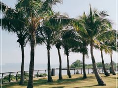 -深圳湾公园(南山区)