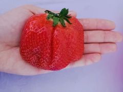 -果果家(兰州张掖路店)