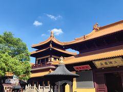 -金典银峰老鹅馆·昆山菜(亭林公园店)