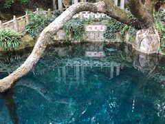 -蝴蝶泉公园