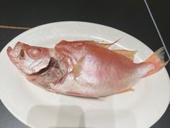 -吴记富苑(朝阳店)