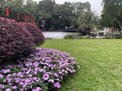 -荔湾湖公园