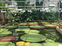 -国家植物园南园