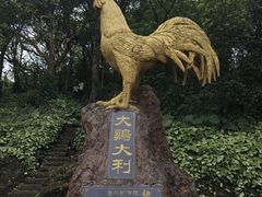 -海口火山口国家地质公园