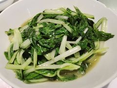 -壹盏灯(惠农店)