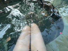 -宁海森林温泉