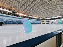 -世界之窗阿尔卑斯冰雪世界