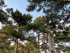 -长春市南湖公园