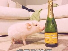 -陳生記米线·始于1989(武林店)