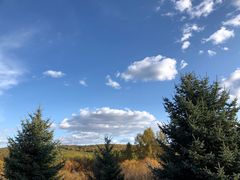 -塞罕坝国家级自然保护区