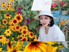 -特克斯八卦城
