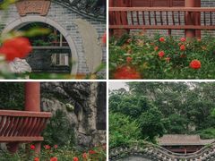 -深圳国际园林花卉博览园