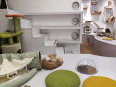 -COLOR PETS 撸猫馆·购猫·猫咖(长风大悦城店)