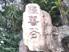 -深圳野生动物园