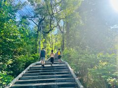 -神光山国家森林公园