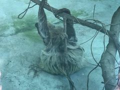 -无锡动物园·太湖欢乐园