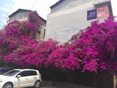 -桥香园云南过桥米线(金马碧鸡店)