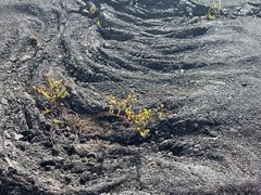 -夏威夷火山国家公园