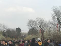 -秀丽东方