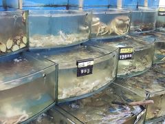 -渔中舟海鲜大排档(普陀沈家门店)