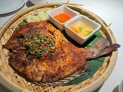 -云腾食府·云南菜