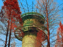 -黄海国家森林公园