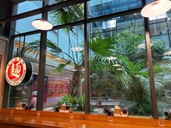 -日出拉面(望京店)