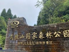 -武陵山森林公园