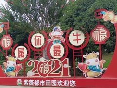 -武汉紫薇都市田园