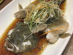 -骏莱海鲜鱼港(五角场店)