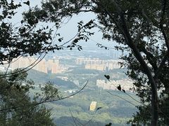 -紫金山山顶公园