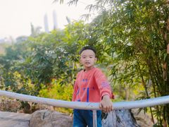 -鸿山公园