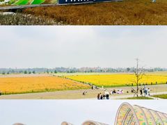 -中国天府农业博览园