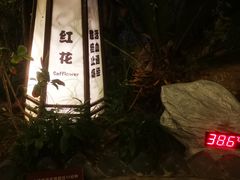 -杭州第一世界大酒店·云曼温泉