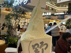 -野人先生Gelato(上海长宁龙之梦店)