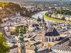 -仔耳朵冷锅鱼蛙芋儿鸡(莲花东路店)