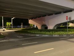 -龍城柳州螺蛳粉(群星路店)
