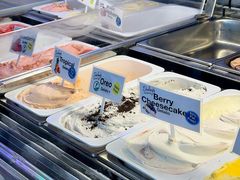 -Dooley's Premium Ice Cream