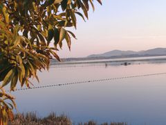 -渤公岛生态公园