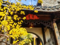 -芥子园