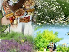 -汉长安城未央宫国家考古遗址公园