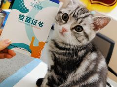 -安安宠医·臻爱宠物医院·宠保定点(营门口路分院)