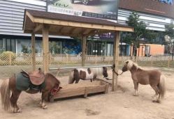 -萌宠亲子动物乐园(槐房万达店)