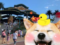 -苏州乐园森林水世界