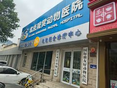-北京观赏动物医院·24小时大型综合·猫专科·异宠专科
