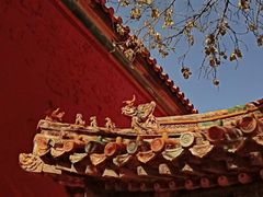 -故宫博物院(故宫)