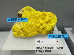 -湖南省地质博物馆