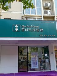 -菩叶脱发白发中心