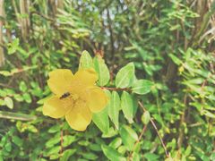 -桤木河湿地公园