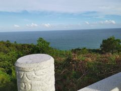 -广东惠东海龟国家级自然保护区